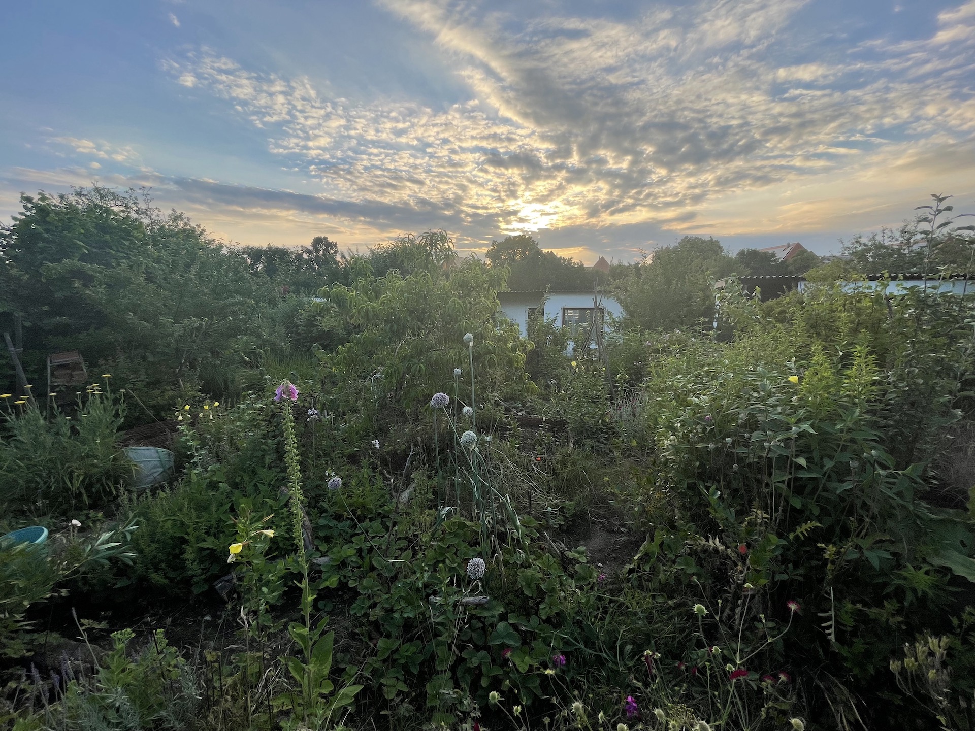 Bilder aus unserer Anlage