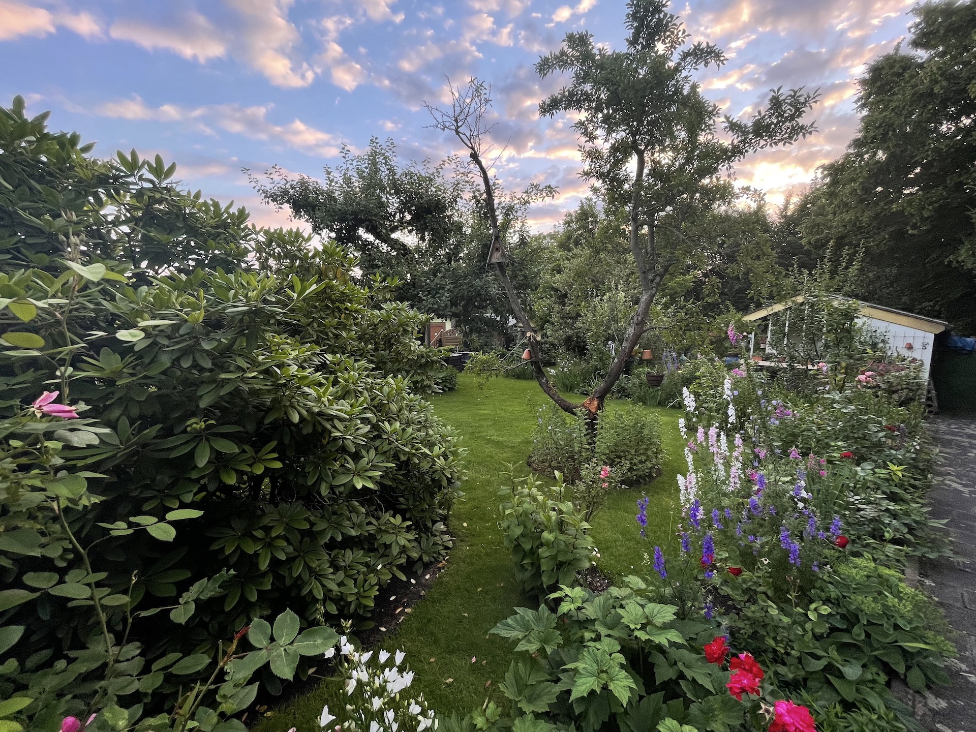 Bilder aus unserer Anlage